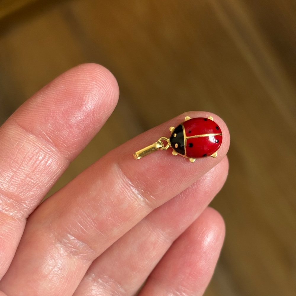 18k Gold and Enamel Ladybug Charm